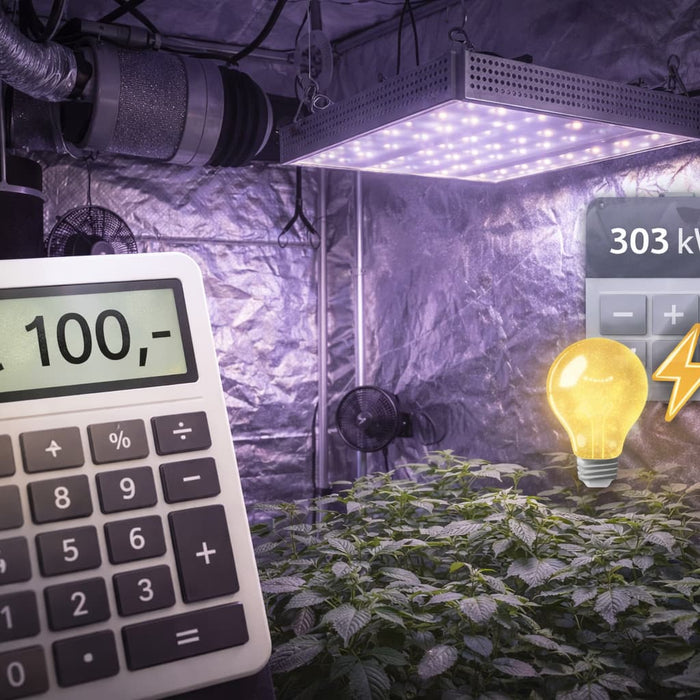 Kweektent met LED kweeklamp en berekening van energiekosten en stroomverbruik