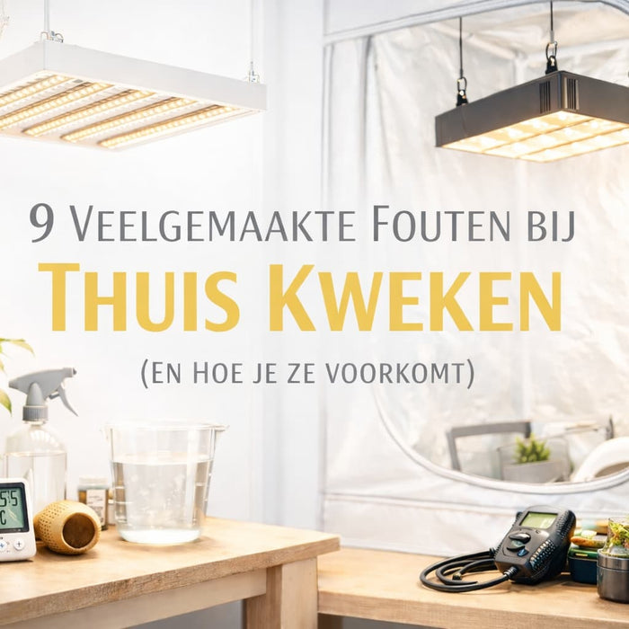 Veelgemaakte fouten bij thuis kweken met kweektent en LED verlichting