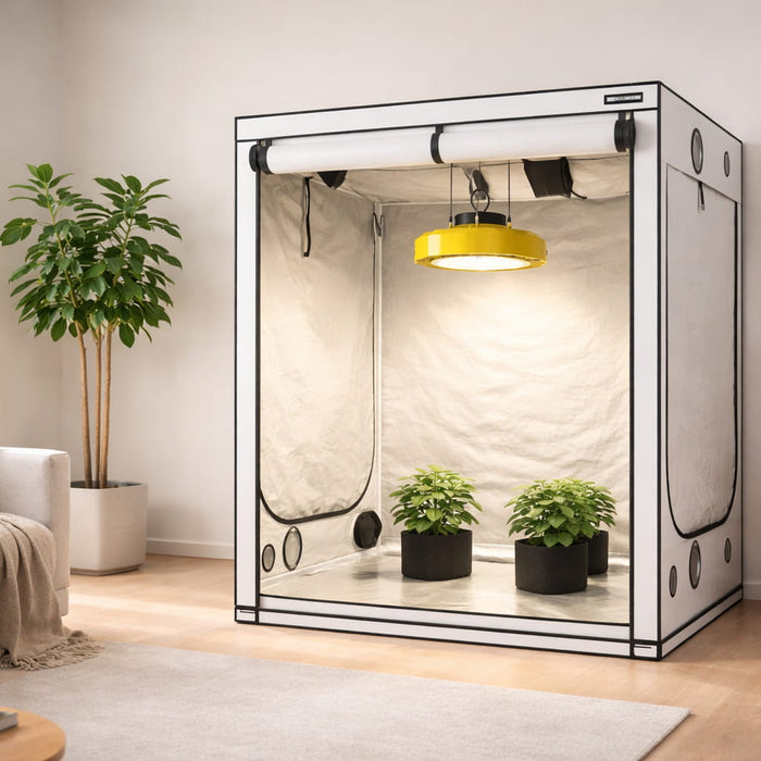 Kweektent opzetten in huiskamer met LED kweeklamp en planten