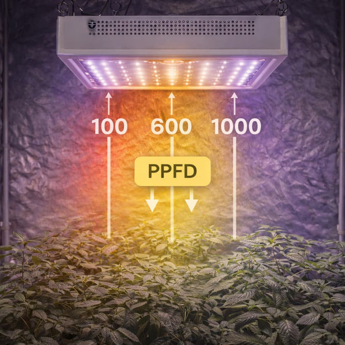 PPFD lichtverdeling onder LED kweeklamp voor plantengroei en bloei
