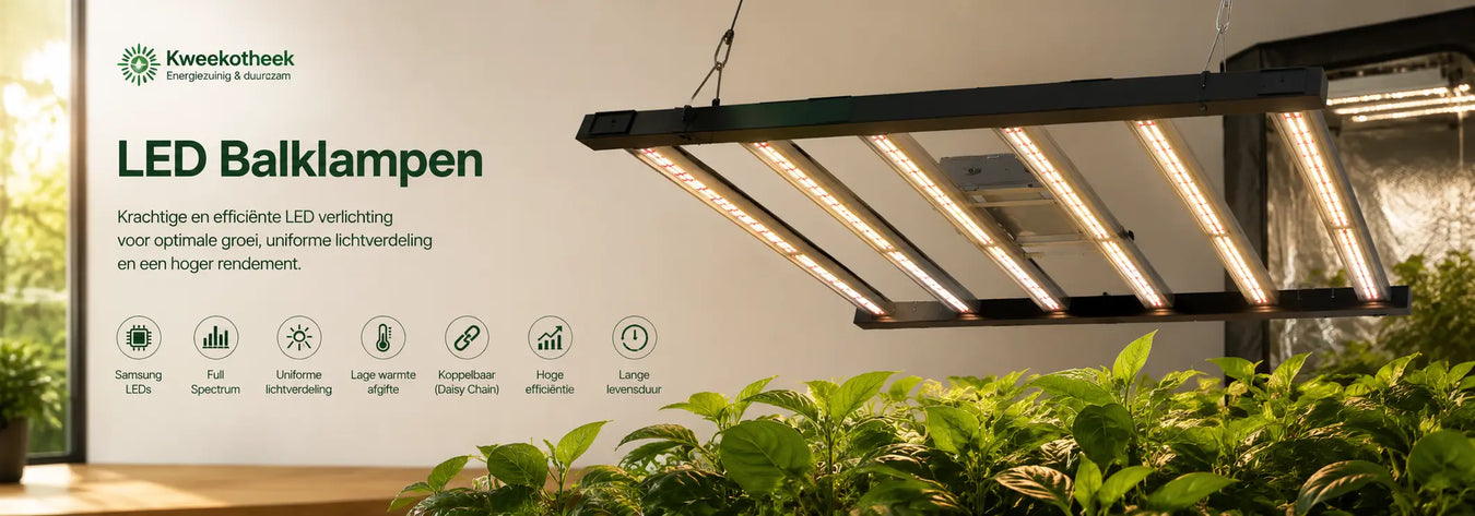 LED balklamp met gelijkmatige lichtverdeling voor professionele groei- en bloeiverlichting in een kweekruimte.