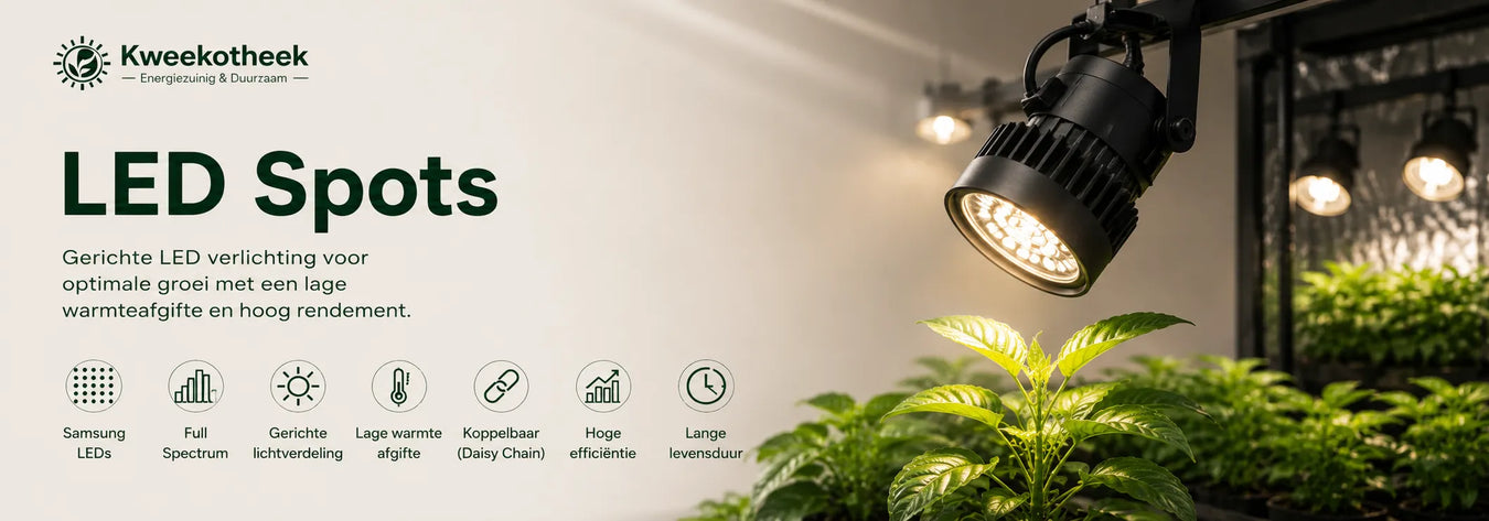 LED spot kweeklamp met gerichte Full Spectrum verlichting boven een plant in een moderne kweekruimte voor optimale groei en maximale lichtcontrole.