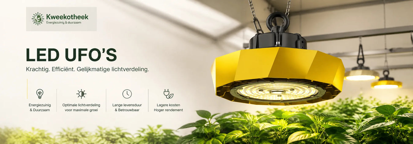LED UFO kweeklamp boven een professioneel gewas in een moderne kweekruimte voor een gelijkmatige lichtverdeling en maximale groei.