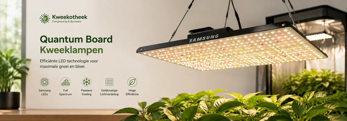 Quantum Board LED kweeklamp met Samsung LEDs boven een professioneel gewas in een kweekruimte.