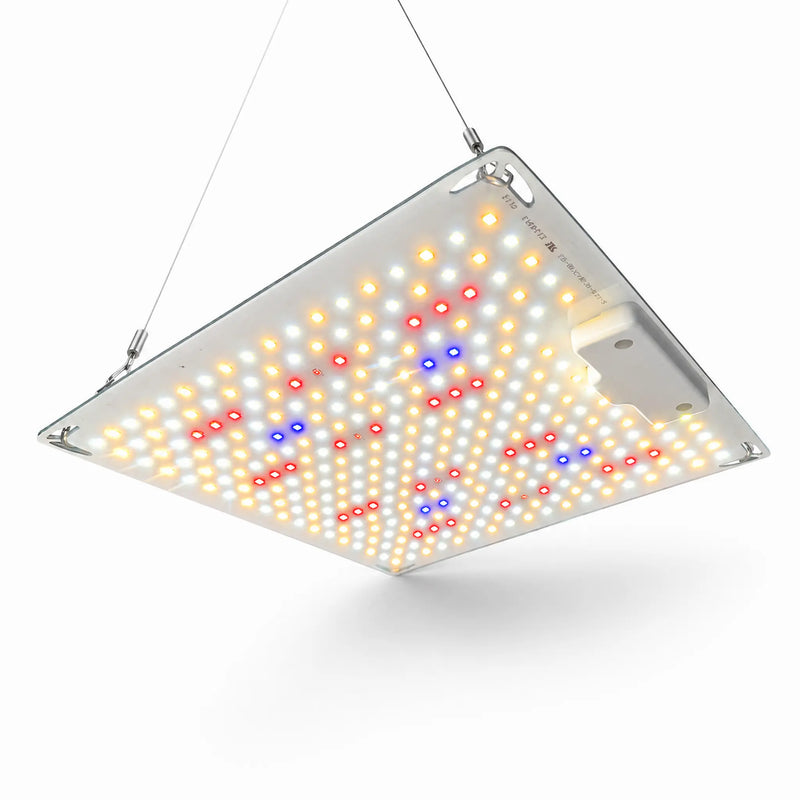 100W Quantum Board ECO LED kweeklamp met volledig spectrum.