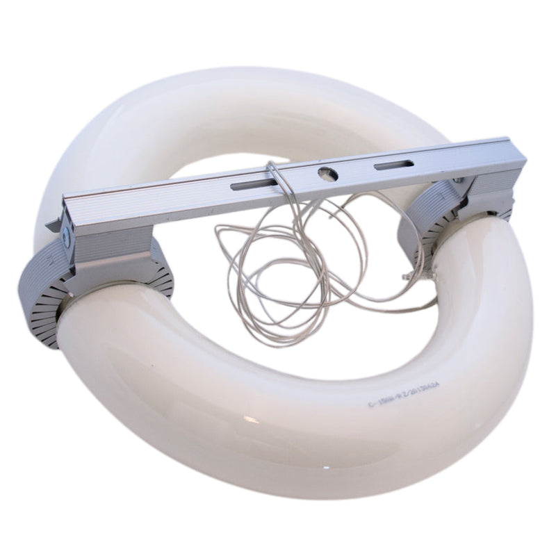 200W Induktions-Pflanzenlampe Saturn mit Aufhängebügel.