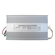 250W Ballast voor inductie kweeklampen.