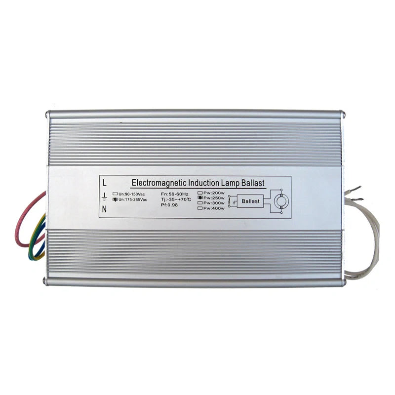 250W Ballast voor inductie kweeklampen.