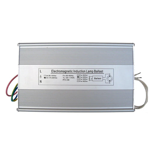 250W Ballast voor inductie kweeklampen.