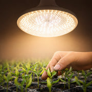 25W LED Spot kweeklamp met volledig spectrum plantenlicht.