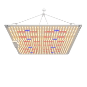 320W Quantum Board ECO LED kweeklamp met ophangsysteem.