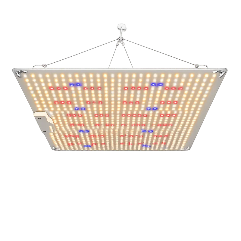 320W Quantum Board ECO LED kweeklamp met ophangsysteem.