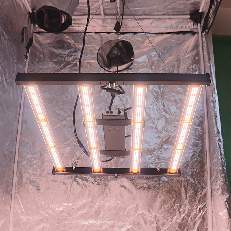 320W Spider LED Grow Lampe in einem Growzelt montiert.