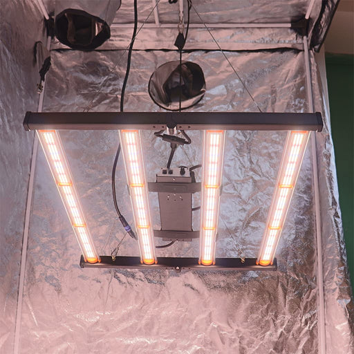 320W Spider LED kweeklamp gemonteerd in een kweektent.