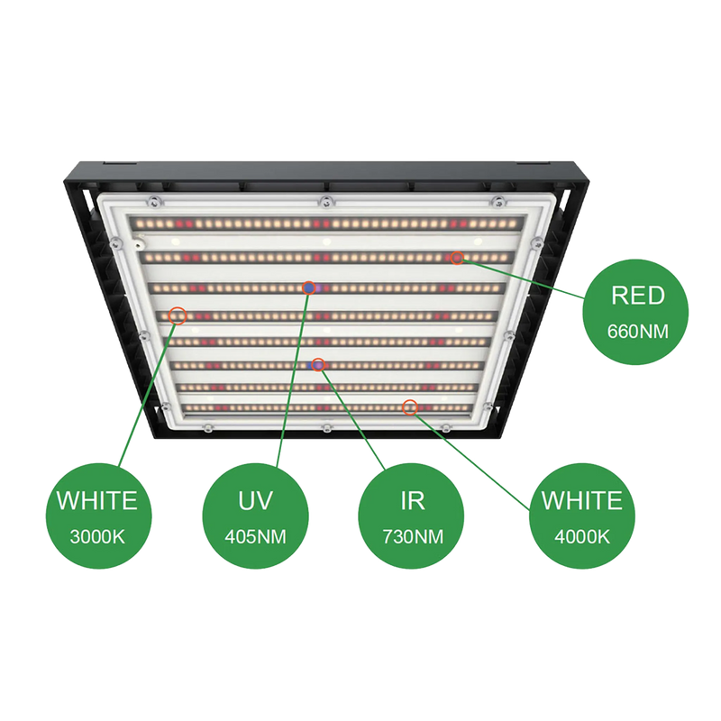 420 LED-System mit weißen LEDs, ergänzt durch UV, IR und 660nm Tiefrot.