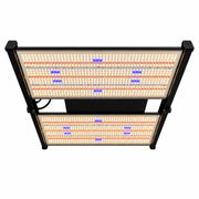 480W Quantum LED kweeklamp ingeschakeld met brandende leds.