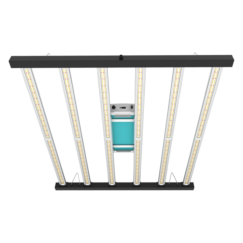 650W ScrogMaster PRO LED-kweeklamp