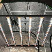 650W Spider LED Grow Lampe in einem Growzelt montiert.