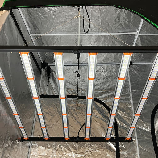 650W Spider LED kweeklamp gemonteerd in een kweektent.