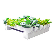 Flow & Grow aeroponics kweeksysteem met groene planten