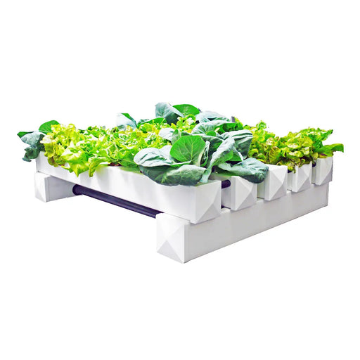 Flow & Grow aeroponics kweeksysteem met groene planten