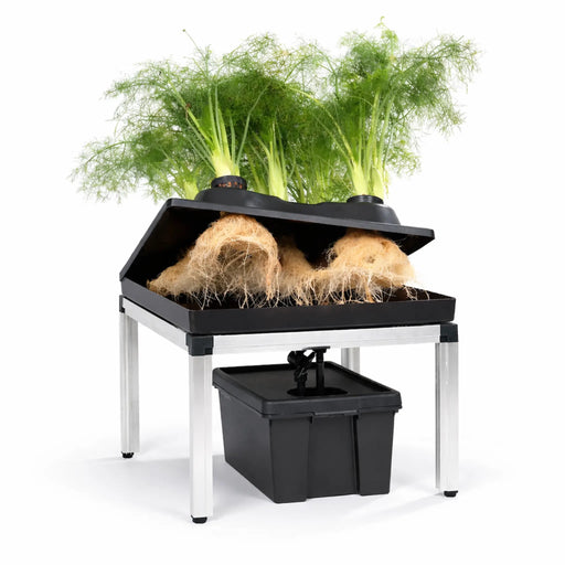 G-Tools Bonanza Irrigatiesysteem met planten en plantenwortels onder deksel.