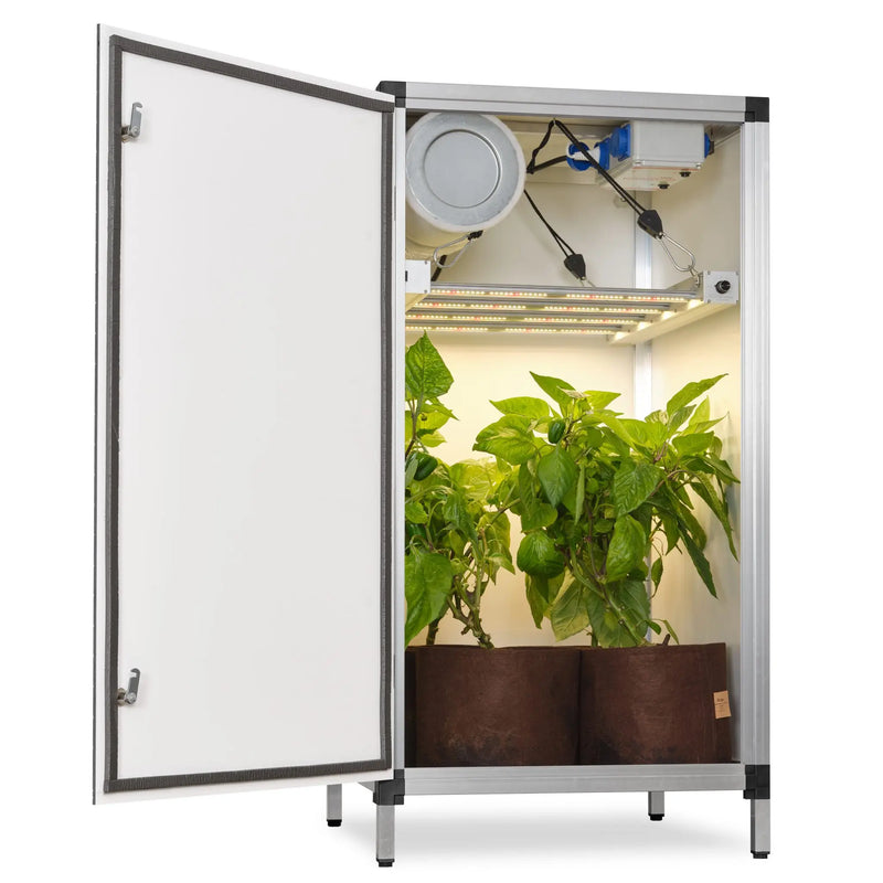 G-Tools Bonanza Tafelmodel kweekkast compleet met LED en planten.