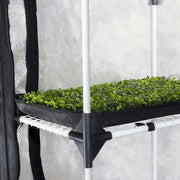 Garden HighPro ProBox 100PL Detailablage mit Pflanzen