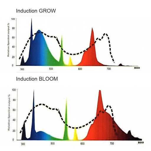 Grow & Bloom lichtspectrum van LVD inductie kweeklampen.