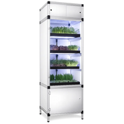 Goeikast voor microgroenten met LED-kweeklampen op hydrocultuur.