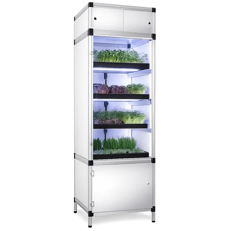 Goeikast voor microgroenten met LED-kweeklampen op hydrocultuur.