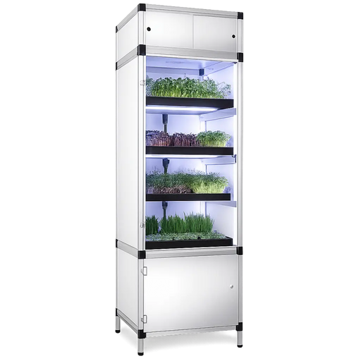 Goeikast voor microgroenten met LED-kweeklampen op hydrocultuur.