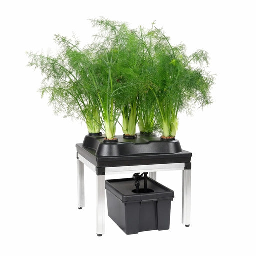 G-Tools Bonanza Irrigatiesysteem met planten.