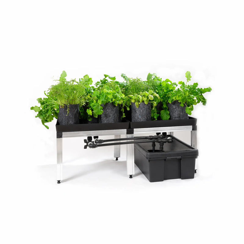 G-Tools Bonanza XL Bewässerungssystem komplett mit Pflanzen.