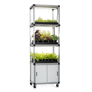G-Tools Kitchenfarm kweekkast verhogingsset compleet met planten.