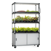 G-Tools Kitchenfarm XL kweekkast verhogingsset compleet met planten.