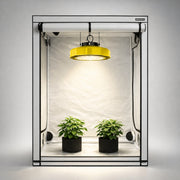 Kweekopstelling met kweektent en Spectrabox LED UFO kweeklamp en panten.