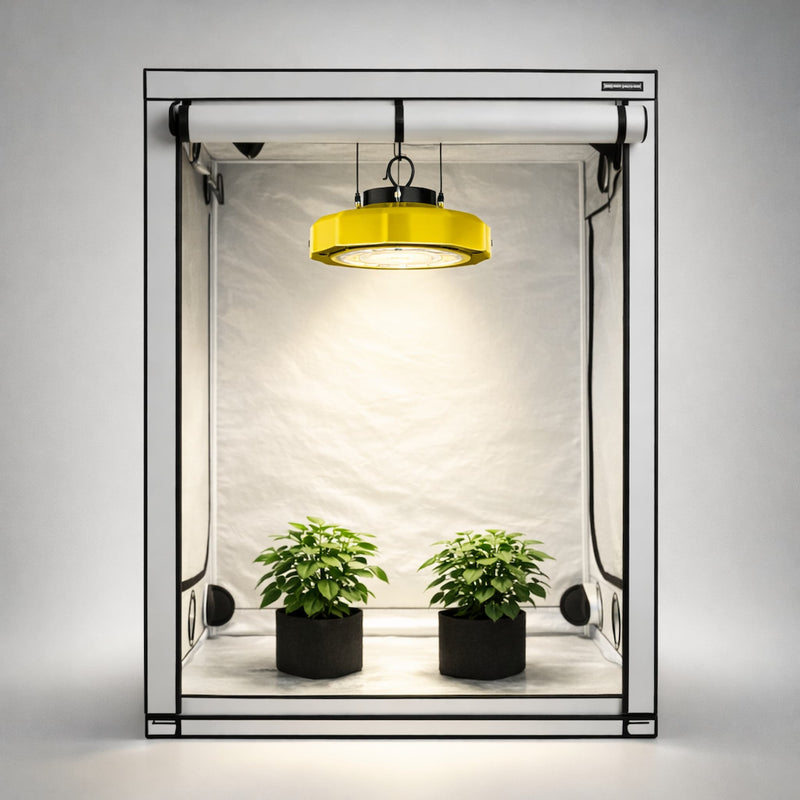 Kweekopstelling met kweektent en Spectrabox LED UFO kweeklamp en panten.
