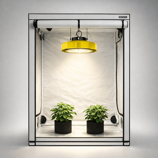 Kweekopstelling met kweektent en Spectrabox LED UFO kweeklamp en panten.