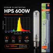 Eigenschappen en lichtspectrum van  600W OSRAM Plantastar lamp