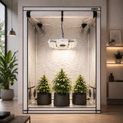 250W Spreader im Growzelt mit Pflanzen