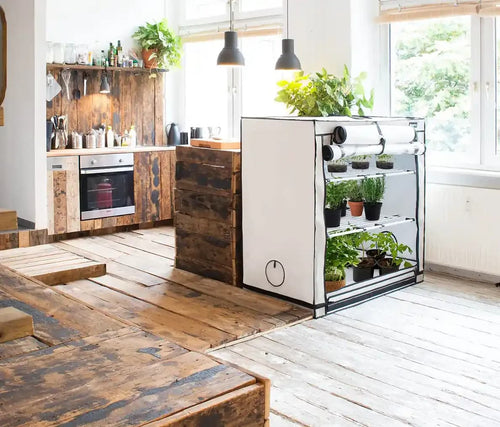 <p>Grow-Set für zu Hause selbst zusammenstellen, mit Growzelt.</p>